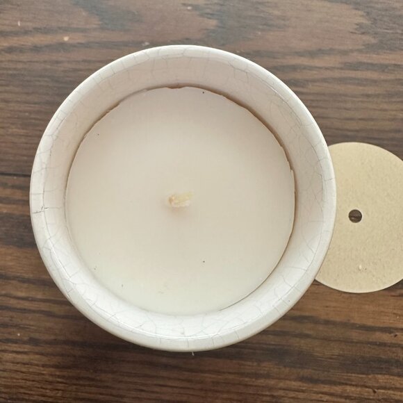 Anthropologie Frosted Bottle Brush Tree Candle - Picture 7 of 11